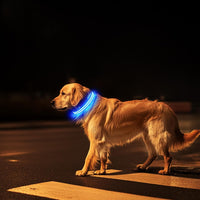 LED Dog Collar Flashing Light up Dog Collar 100% Waterproof Rechargeable Safety Adjustable Pets Collar Increased Visibility Super Bright for Small Medium Large Dog - Blue - S