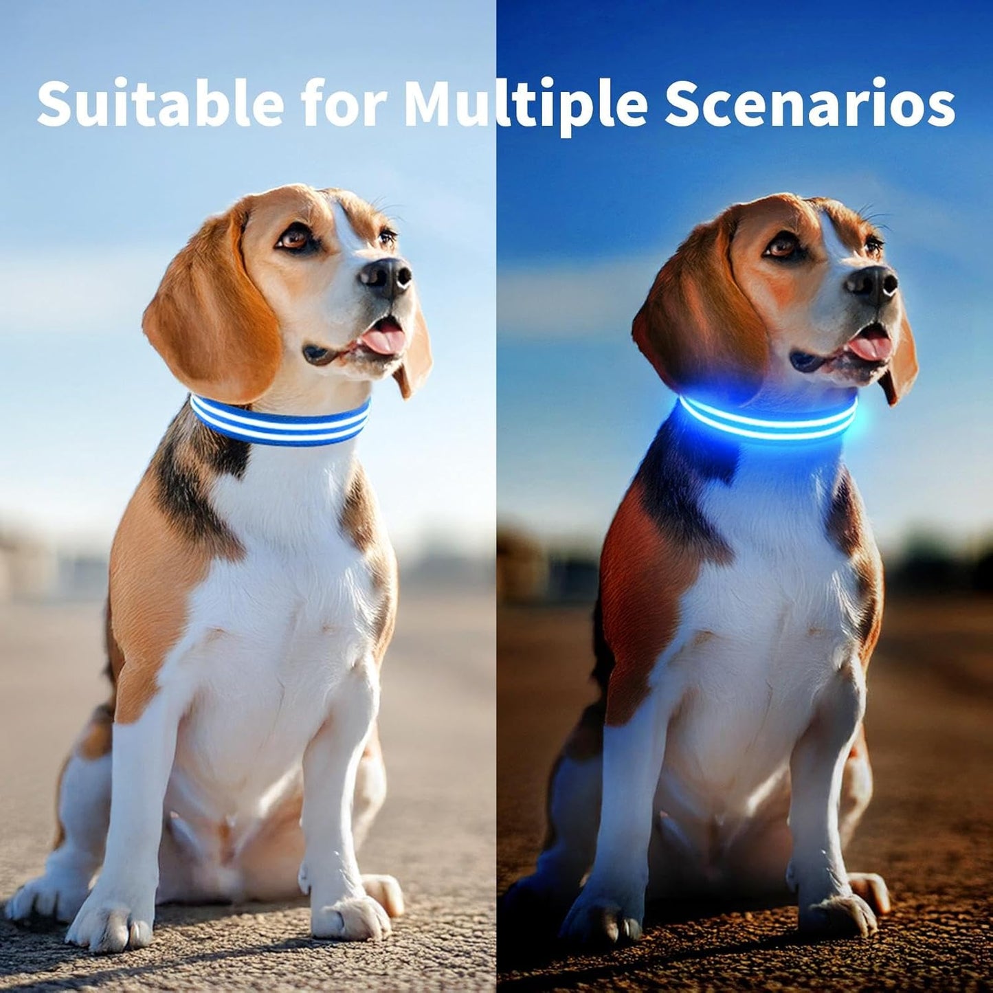 LED Dog Collar Flashing Light up Dog Collar 100% Waterproof Rechargeable Safety Adjustable Pets Collar Increased Visibility Super Bright for Small Medium Large Dog - Blue - S