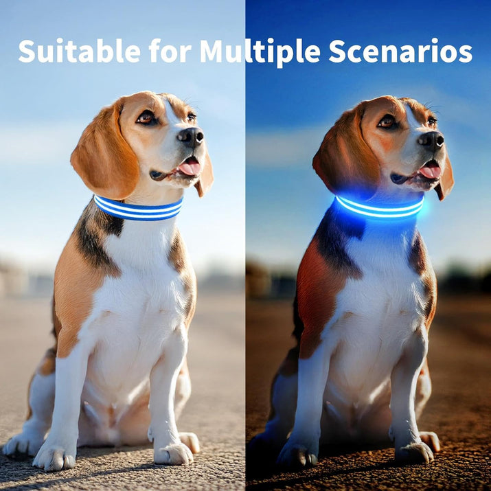 LED Dog Collar Flashing Light up Dog Collar 100% Waterproof Rechargeable Safety Adjustable Pets Collar Increased Visibility Super Bright for Small Medium Large Dog - Blue - S