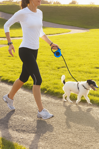 Pet Automatic Telescopic Traction Rope